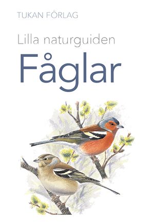 Lilla naturguiden: fåglar