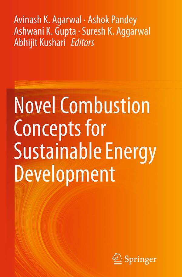 Novel Combustion Concepts for Sustainable Energy Development | 1:a upplagan