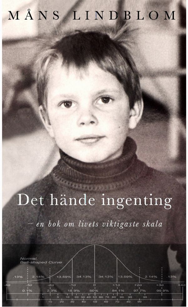 Det hände ingenting: en bok om livets viktigaste skala | 1:a upplagan