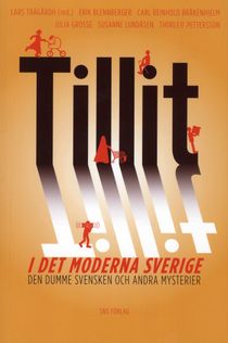 Tillit i det moderna Sverige : den dumme svensken och andra mysterier