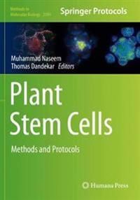 Plant Stem Cells: Methods and Protocols: 2094 (Methods in Molecular Biology)