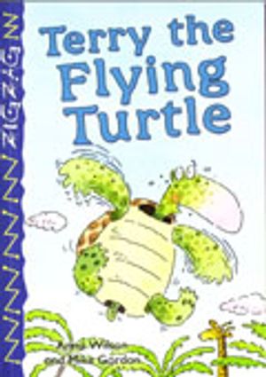 Zigzag Terry the Flying Turtle | 1:a upplagan