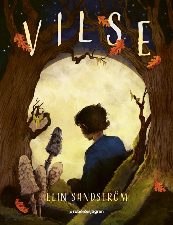 Vilse | 1:a upplagan