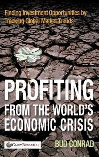 Profiting from the World's Economic Crisis: Finding Investment Opportunitie | 1:a upplagan