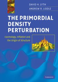The Primordial Density Perturbation | 0:e upplagan