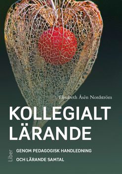 Kollegialt lärande | 1:a upplagan
