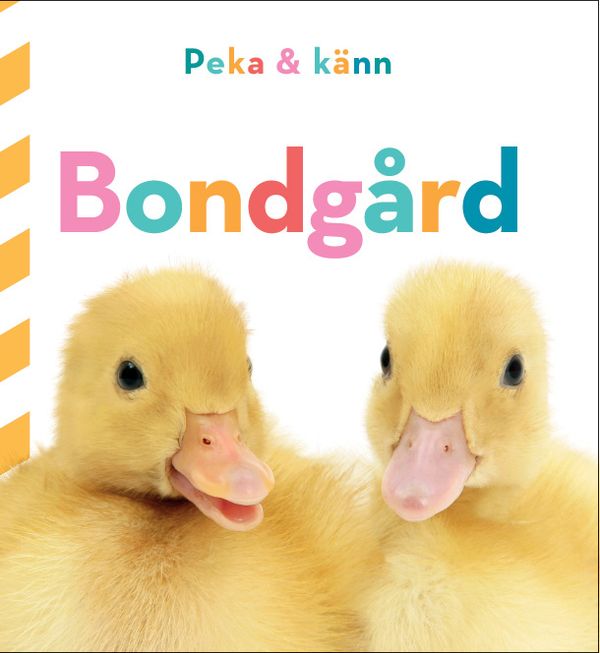 Peka och känn: Bondgård | 0:e upplagan
