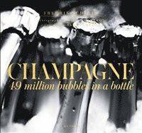 Champagne: 49 million bubbles in a bottle