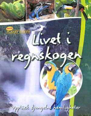 30108: Livet i regnskogen