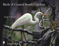 Birds Of Coastal South Carolina