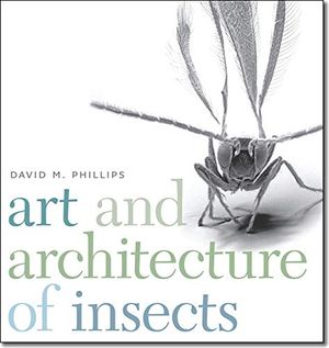 Art and Architecture of Insects