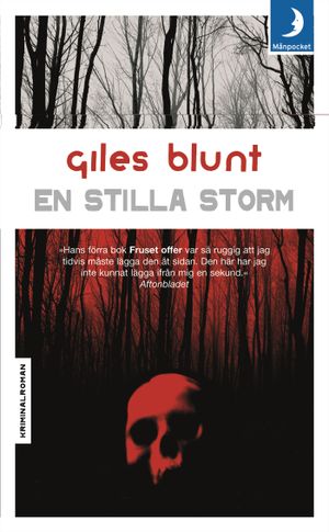 En stilla storm