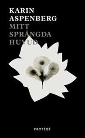 Mitt sprängda huvud | 1:a upplagan