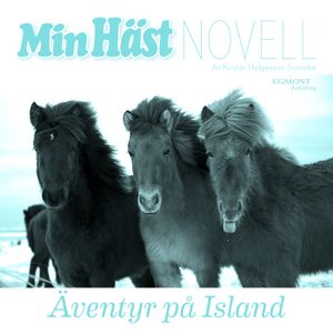 Äventyr på Island