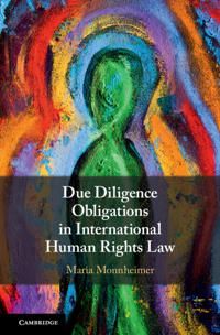 Due Diligence Obligations in International Human Rights Law | 0:e upplagan
