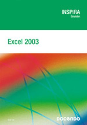 Excel 2003 Grunder