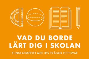 Vad du borde lärt dig i skolan