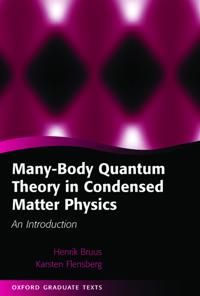 Many-body Quantum Theory in Condensed Matter Physics | 0:e upplagan