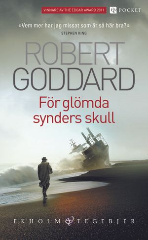 För glömda synders skull