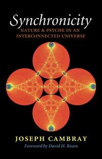 Synchronicity: Nature and Psyche in an Interconnected Universe | 0:e upplagan