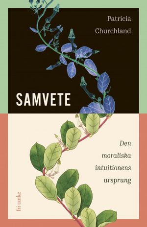 Samvete : Den moraliska intuitionens ursprung