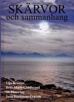 Skärvor och sammanhang