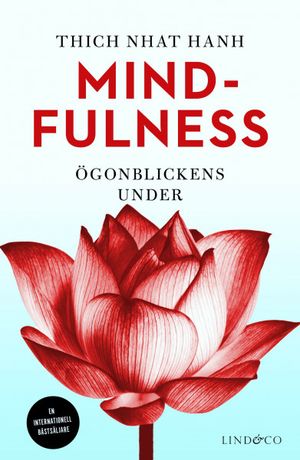 Mindfulness - ögonblickens under