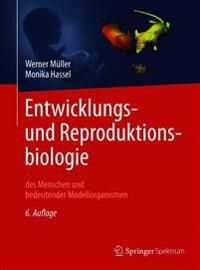 Entwicklungsbiologie und Reproduktionsbiologie des Menschen und bedeutender Modellorganismen | 6:e upplagan
