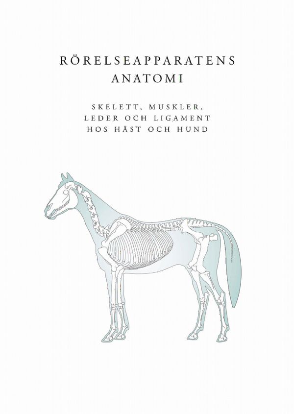 Rörelseapparatens anatomi | 0:e upplagan