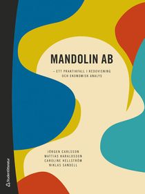 Mandolin AB - ett praktikfall i redovisning och ekonomisk analys
