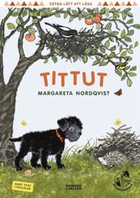 Tittut | 0:e upplagan