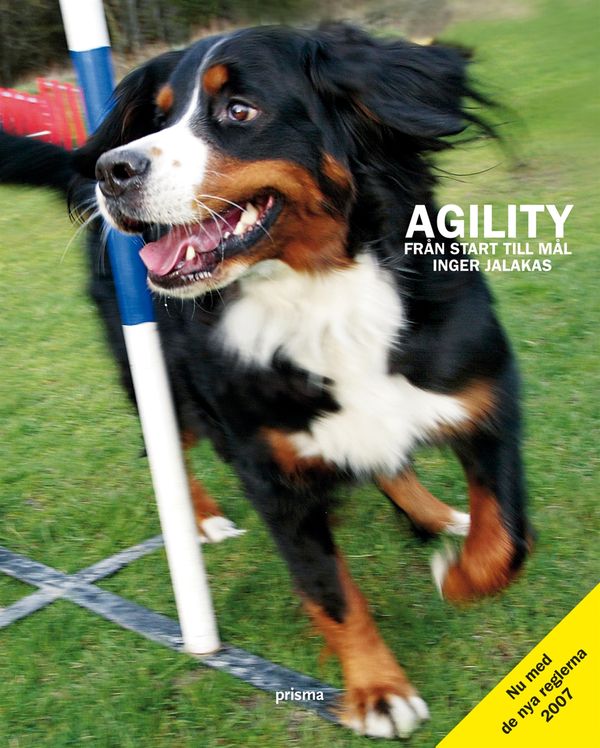 Agility : från start till mål | 2:a upplagan