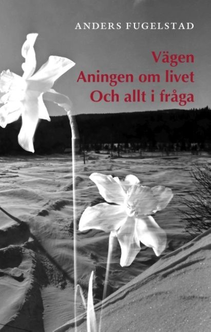 Vägen aningen om livet och allt i fråga | 1:a upplagan