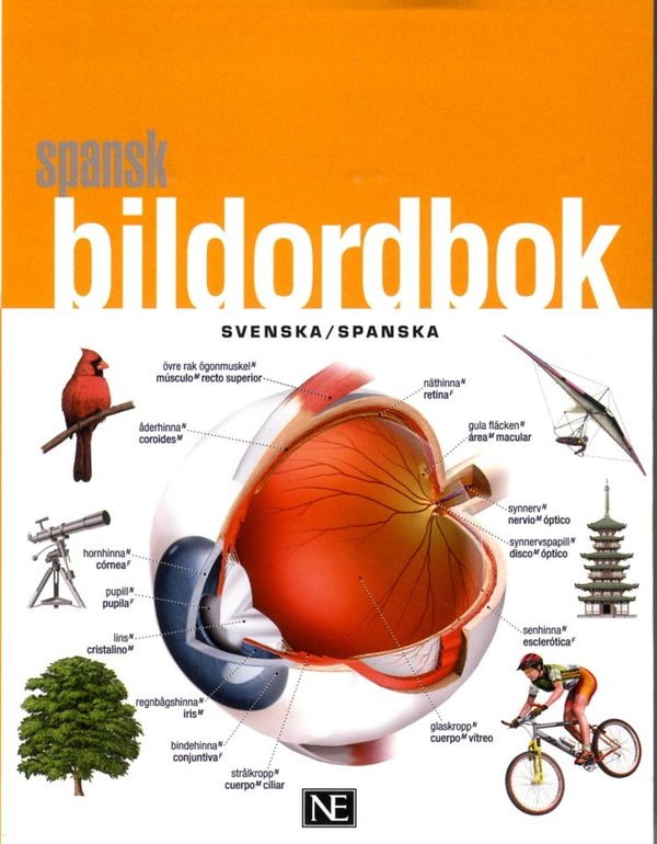 Spansk bildordbok | 0:e upplagan