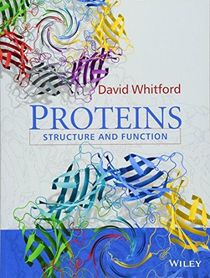 Proteins Structure and Function