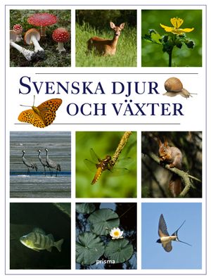 Svenska djur och växter | 1:a upplagan