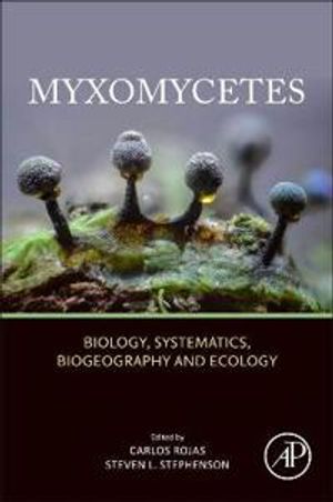 Myxomycetes