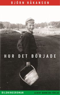 Hur det började : bildningsroman