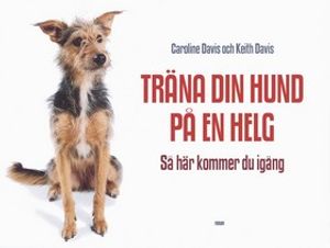 Träna din hund på en helg