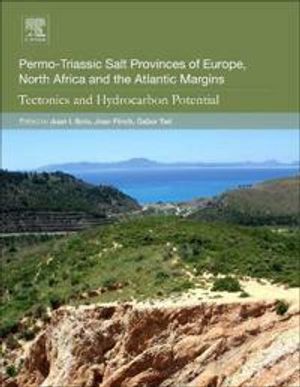 Permo-triassic salt provinces of europe, north africa and the atlantic marg