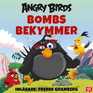 Bombs bekymmer