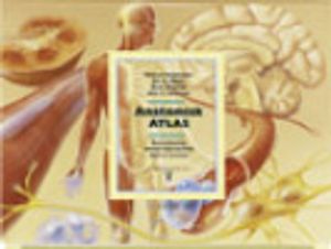 Anatomisk atlas | 1:a upplagan