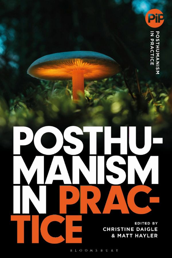 Posthumanism in Practice | 0:e upplagan