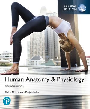 Human Anatomy & Physiology plus Pearson MasteringAnatomy & Physiology with Pearson eText, Global Edition | 11:e upplagan