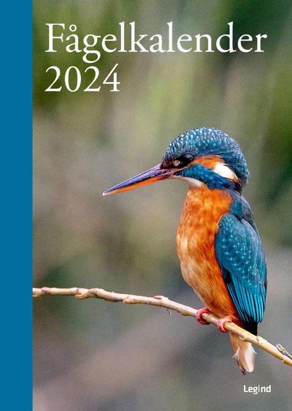 Fågelkalender 2024 | 0:e upplagan