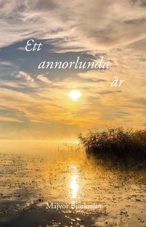 Ett annorlunda år