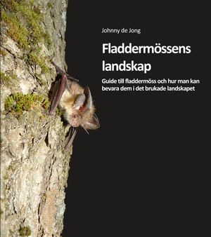 Fladdermössens landskap | 1:a upplagan