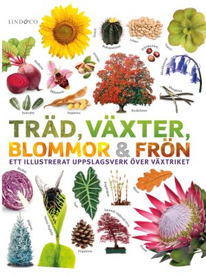 Träd, växter, blommor och frön - Ett illustrerat uppslagsverk