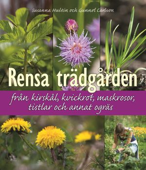 Rensa trädgården från kirskål, kvickrot, maskrosor, tistlar och annat ogräs