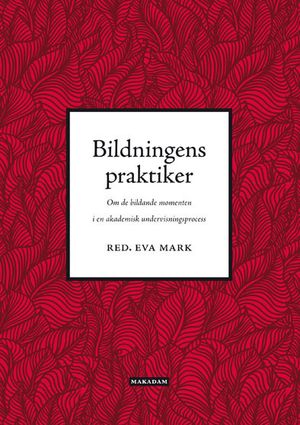 Bildningens praktiker | 1:a upplagan